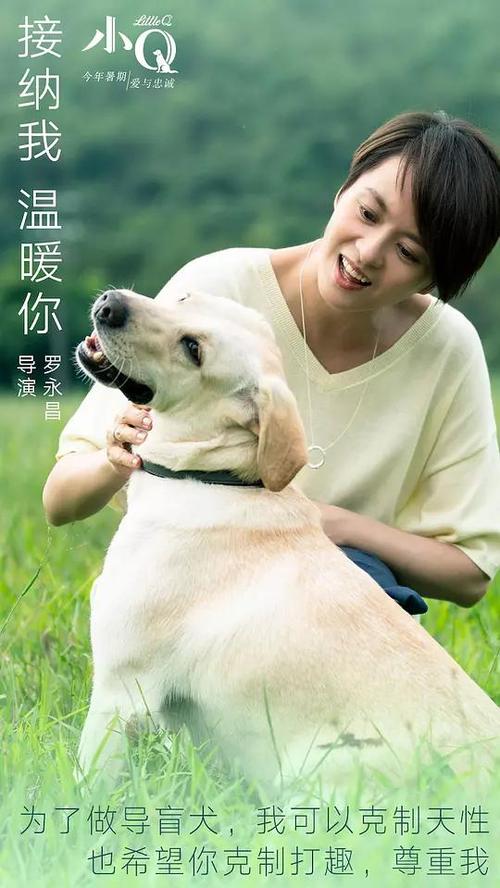 制作日本新潟大學成绩单